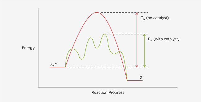 Catalysis Catalysis